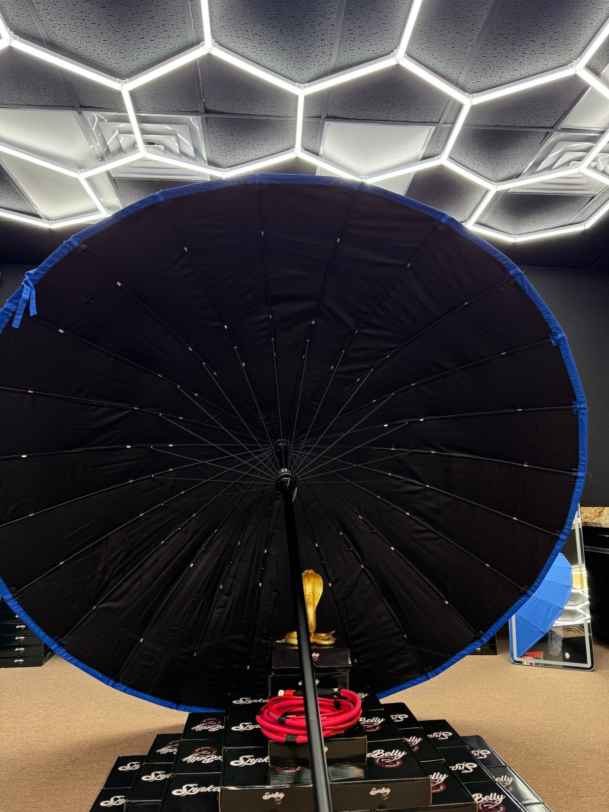 Snakebelly 9' Umbrella photo 2